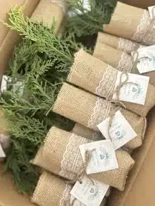 Leylandi Çam Fidanı Hediyelik Jüt Süslemeli