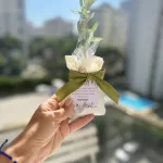 Zeytin Fidanı Hediyelik